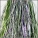32" Hank Custom Blend: Dyed Spruce Green, White and Holo Purple